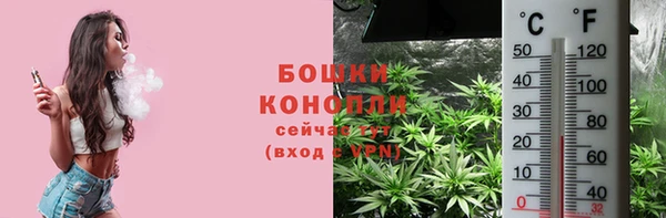 ПСИЛОЦИБИНОВЫЕ ГРИБЫ Абаза