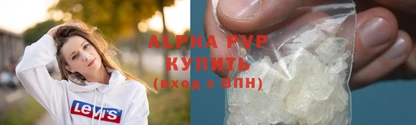 прущие грибы Абинск