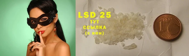 spice Алзамай