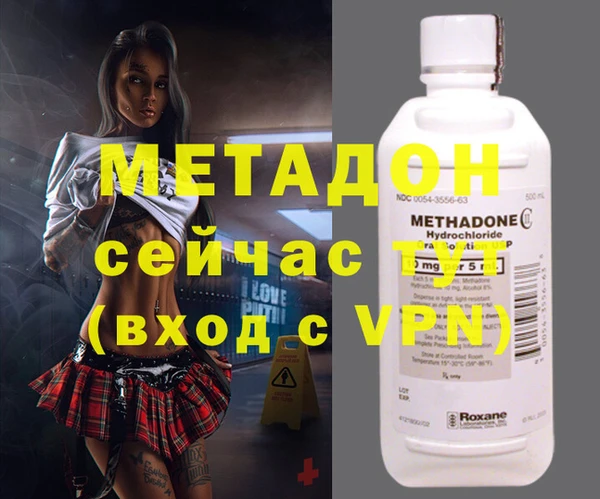 прущие грибы Абинск