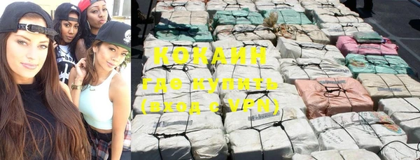 ПСИЛОЦИБИНОВЫЕ ГРИБЫ Абаза