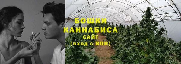 ПСИЛОЦИБИНОВЫЕ ГРИБЫ Абаза