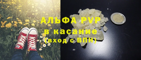 ПСИЛОЦИБИНОВЫЕ ГРИБЫ Абаза