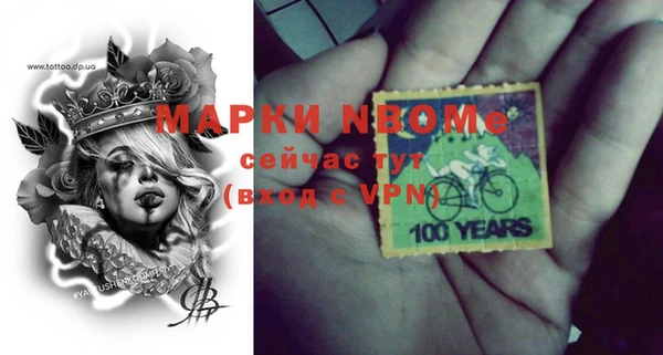 прущие грибы Абинск