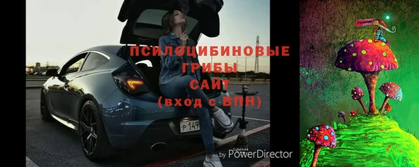 прущие грибы Абинск