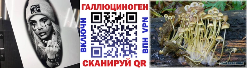 Галлюциногенные грибы Cubensis  Кораблино 